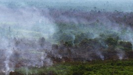 Kisah Petani Tumbal Korporasi dan Mantra Penjaga Api