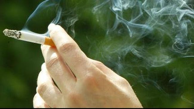 80 Gambar Rokok Camel Anggur Paling Hist 80 Gambar Rokok Camel Anggur Paling Hist