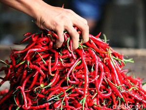 Harga Sembako Jogja Hari Ini 8 Agustus 2024: Cabai Merah Keriting Makin Pedas