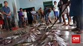 Aktivitas perdagangan di Tempat Pelelangan Ikan Pantai Tanjung Pasir, Kabupaten Tangerang, Banten, Selasa (11/11). (CNN Indonesia/Adhi Wicaksono)