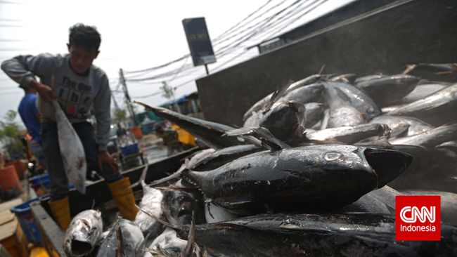 Susi Gandeng Kerjasama dengan Pecinta Seafood