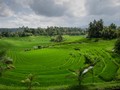 Bermain Rasa di Ubud Food Festival 2016