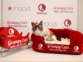 Grumpy Cat dkk Mejeng di Museum New York