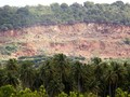 Aceh Gelontorkan Rp 45 Miliar Untuk Menjaga Hutan