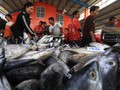 Menteri Susi: Harga Ikan Laut Lebih Murah Sejak Moratorium