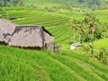 Kerjasama Indonesia dan UNWTO Garap 'Sustainable Tourism'