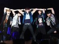 Kembali ke Jakarta, SHINee Wujudkan Mimpi Penggemar Indonesia
