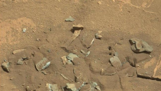 Persiapan NASA Bangun Koloni Manusia di Mars