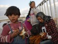 ISIS Culik 400 Warga Sipil Kota Deir al-Zor di Suriah