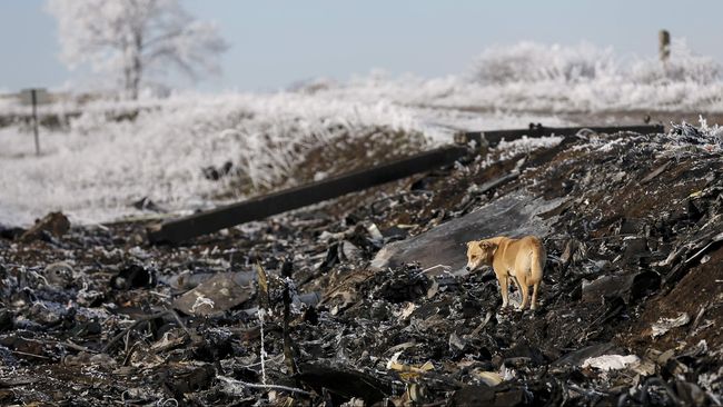 Rusia Bantah Hasil Laporan Jatuhnya Pesawat MH17