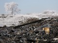 Rusia Bantah Hasil Laporan Jatuhnya Pesawat MH17