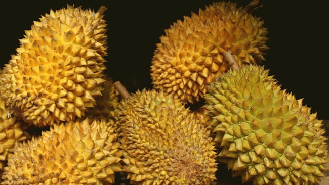 Download 62 Gambar Durian Segar Terbaru Gratis