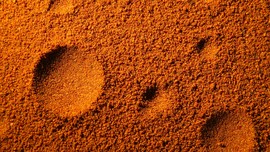 Ada 'Tikus Raksasa' di Planet Merah?