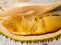 10 Kuliner Ekstrem dari 10 Tempat di Dunia