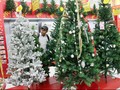 Jepang Jual Pohon Natal Rp24,2 Miliar