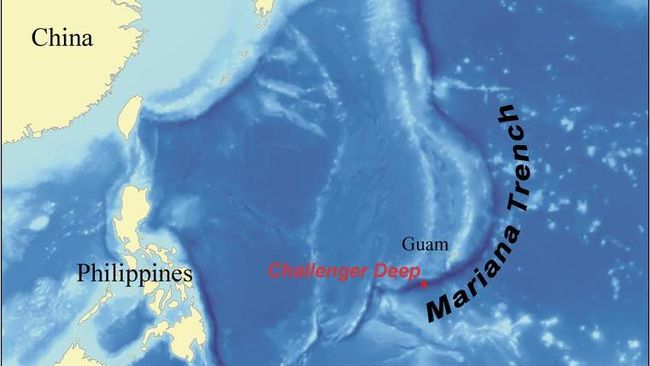 Palung Mariana Sarang Ikan Ikan Aneh Dan Udang Raksasa