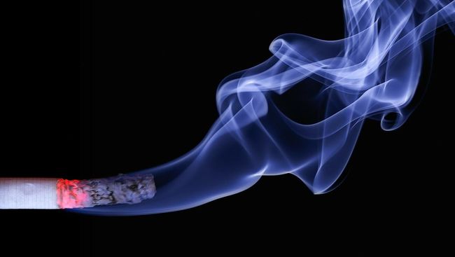 Studi: Mencium Sisa Bau Rokok Berbahaya untuk Tubuh