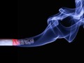 Ine Febriyanti Dukung Kampanye Bahaya Rokok
