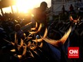 Tsukiji, Pasar Ikan Terbesar di Dunia