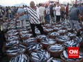 Pasar Ikan Stabil, KKP Enggan Intervensi Harga dan Pasokan