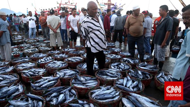 Neraca Perdagangan Ikan Indonesia Surplus US$232 Juta