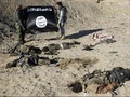 Anak di Bawah ISIS: Dijadikan Budak Seks, Dibakar Hidup-hidup