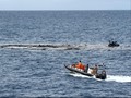 Musim Panen Ikan, Kementerian Susi Jaga Ketat Natuna