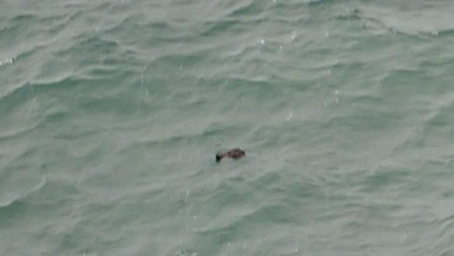 Kedalaman Laut di Lokasi Temuan Serpihan 25-30 Meter
