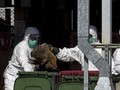 Hong Kong Catat Kasus Korban Meninggal Flu Burung Pertama