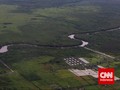 Hutan Kalimantan Bakal Hijau Kembali Jika Pindah Ibu Kota