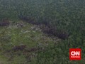 Bappenas Jamin Ibu Kota Tak Ganggu Hutan Lindung Kalimantan