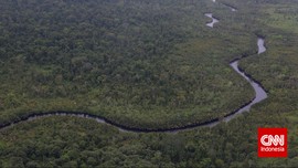 Presiden Jokowi Perpanjang Moratorium Hutan