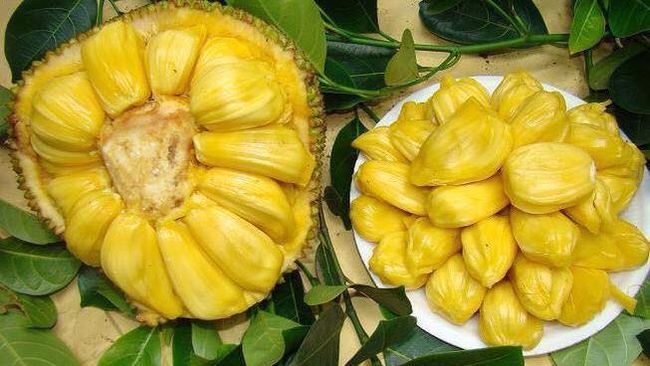 Manfaat Buah Nangka: Pelindung Kulit hingga Pelawan Kanker