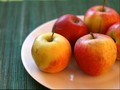 Cara Mencegah Infeksi Bakteri Listeria monocytogene