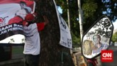 Pak Bolin 66 tahun, simpatisan PDIP turut memeriahkan pesta rakyat dalam peringatan HUT PDI-P ke-42 di Jakarta, Sabtu (10/1). (CNN Indonesia/Adhi Wicaksono)