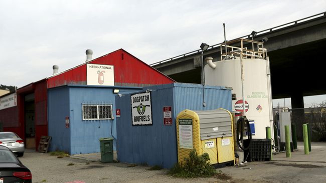 Pemerintah Usulkan 'Subsidi' Biodiesel Langsung ke Pertamina