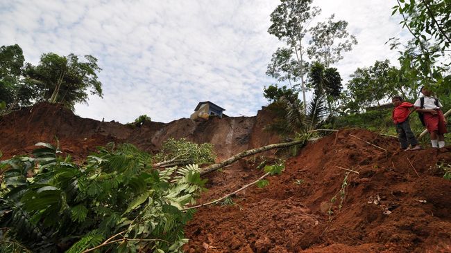 Longsor Terjang Ciawi Bogor, 4 Warga Tewas