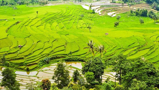 Tahun Ini, Bali Hadirkan 11 Desa Wisata Baru