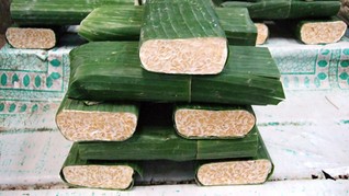 Biosoy 1 dan 2, Varietas Baru Kedelai Berbiji Besar