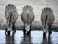8 Kegiatan Wisata Seru di eSwatini