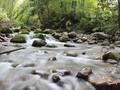 Rafting Bambu Mengarungi Jeram Sungai Loksado