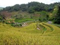 Peta Indikatif Lahan Tumpang Tindih Rampung Tahun Ini