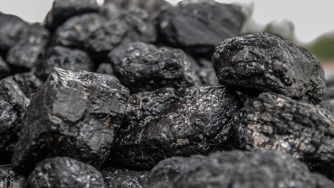 ESDM Ramal Penurunan Ekonomi Bakal Tekan Harga Batu Bara