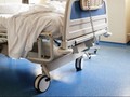 Flu Babi Tewaskan 585 Orang di India