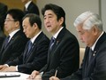 Jepang Berencana Ubah UUD Selambatnya 2018