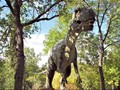 Ilmuwan China Temukan Spesies Dinosaurus Bersayap Kelelawar