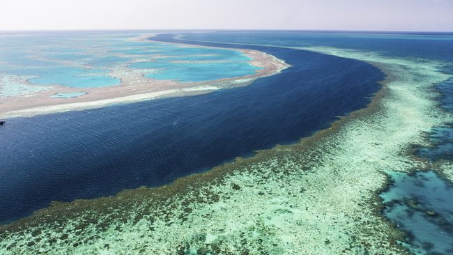 Menjadi Saksi Kerusakan Great Barrier Reef