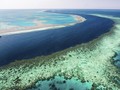 Menjadi Saksi Kerusakan Great Barrier Reef