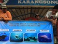 Susi: Penangkap Pari Manta Diancam Delapan Tahun Penjara