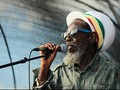 Bali Gelar Festival Musik Reggae Akhir September
